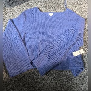Anthropologie Blue Crew Neck Sweater